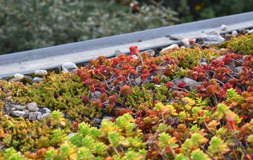 the cost of Meathop green roof installation