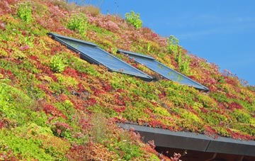 Meathop living roof systems